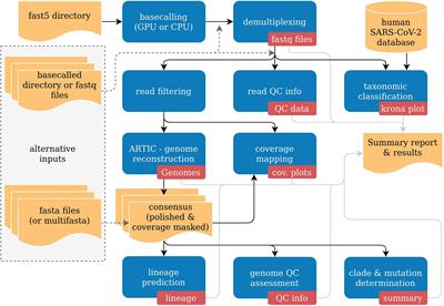 poreCov-An Easy to Use, Fast, and Robust Workflow for SARS-CoV-2 Genome Reconstruction via Nanopore Sequencing